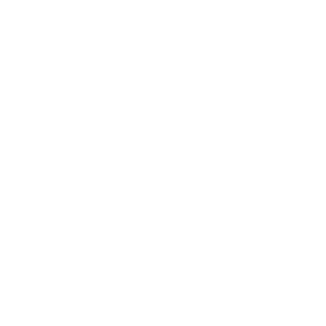 SINDAL LOGO_hvid_utekst_20%